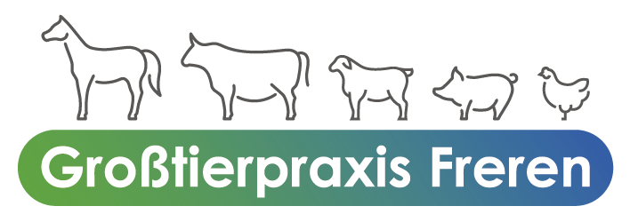 Großtierpraxis Freren